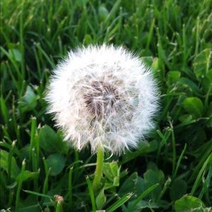 Meet your Posher, Lara